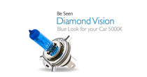 Diamond Vision